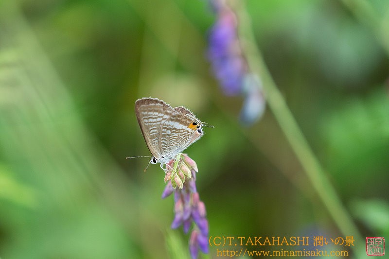 ../Images/7R240804 (182).jpg